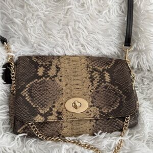 Coach Cream and Gray Snakeskin Clutch